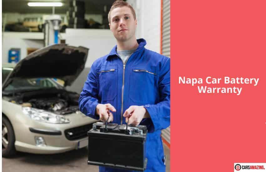 Napa Car Battery