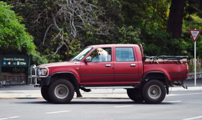 An overview of the Toyota Tacoma